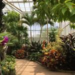 Daniel Stowe Botanical Garden