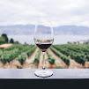 Binissalem: Individual vineyard tour and wine tasting in German