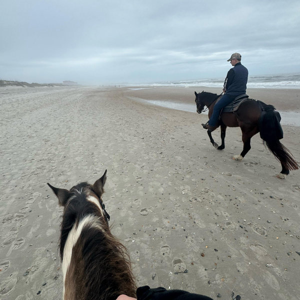 Horseback Riding On Our Honeymoon