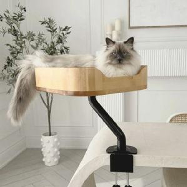 ERGO PURRCH - The Sustainable Desk-Mounted Cat Bed - Birchwood - Matte Black