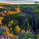 Table Mountain