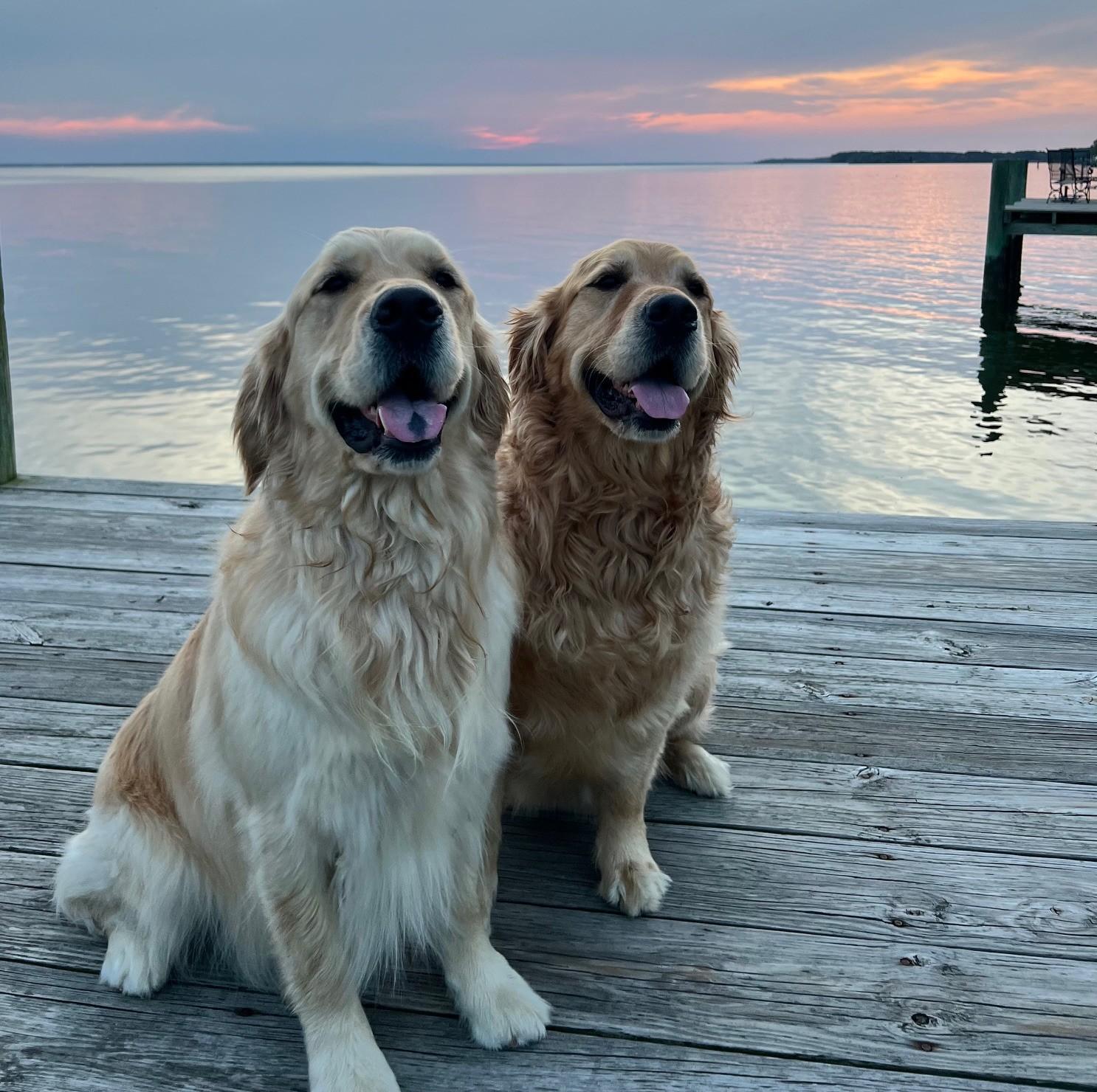 The Wedding Website of Michael Kirby and Dana Marie