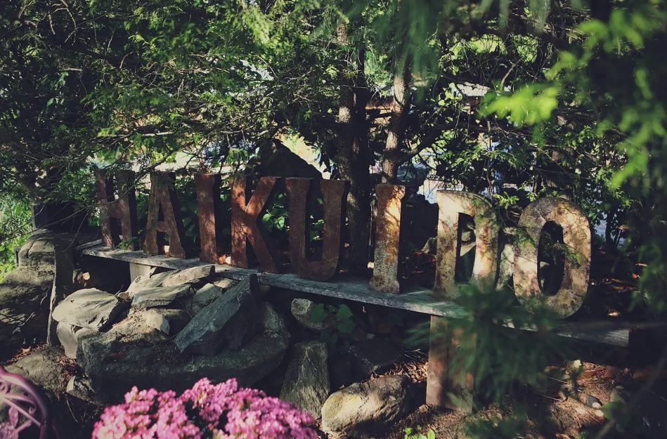 The Wedding Website of Elli Cole and Will Boes