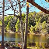 Bays Mountain Park and Planetarium