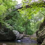 Wissahickon Trail Ridge Avenue
