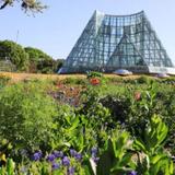San Antonio Botanical Garden