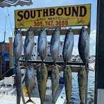 Key West Fishing Charter (Southbound Sportfishing)