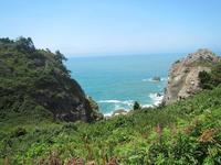 Patricks Point