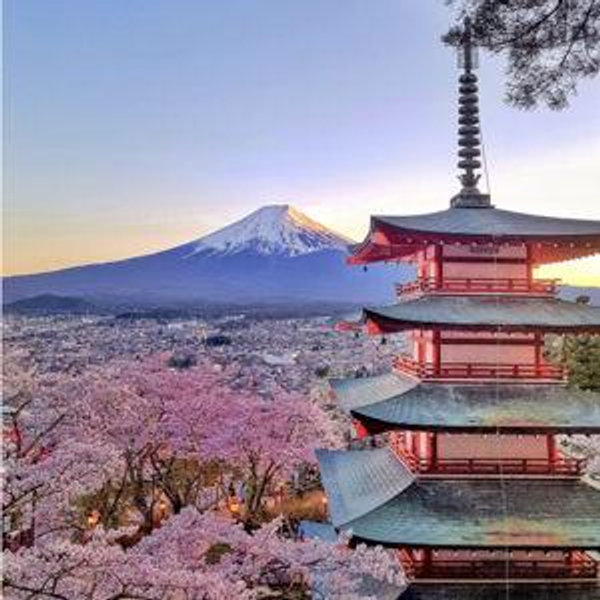 Japan honeymoon fund!