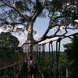 Kakum National Park Entrance Gate Ghana