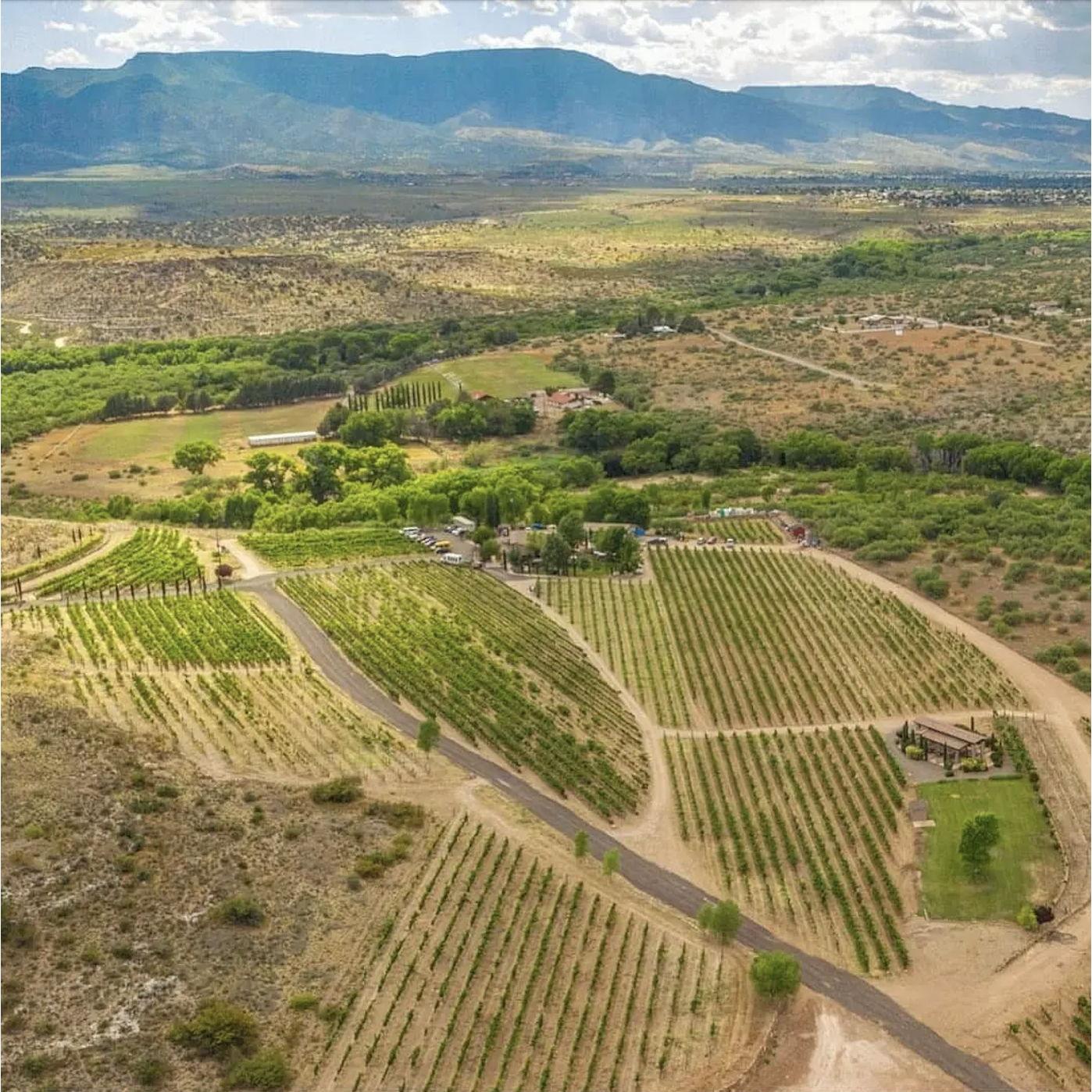 Alcantara Vineyard <3