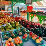 Roadrunner Organics / Hernandez Family Produce