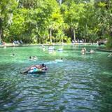 Wekiwa Springs State Park
