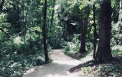 Big Indian Creek Waterway Trails