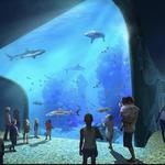 St. Louis Aquarium at Union Station