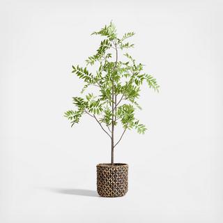Faux 8' Sorbus Tree