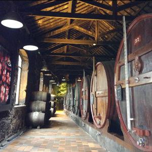 Port Wine Tasting in Porto
