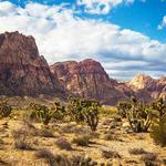 Red Rock Canyon National Conservation Area