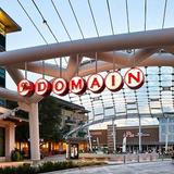 The Domain