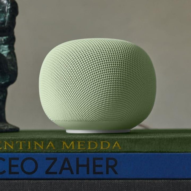 Google Nest Speaker