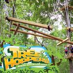 TreeHoppers Aerial Adventure Park