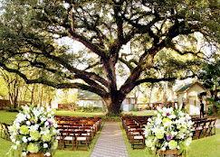 The Wedding Website of Nelly Reyes and Joseph Moses Candelario
