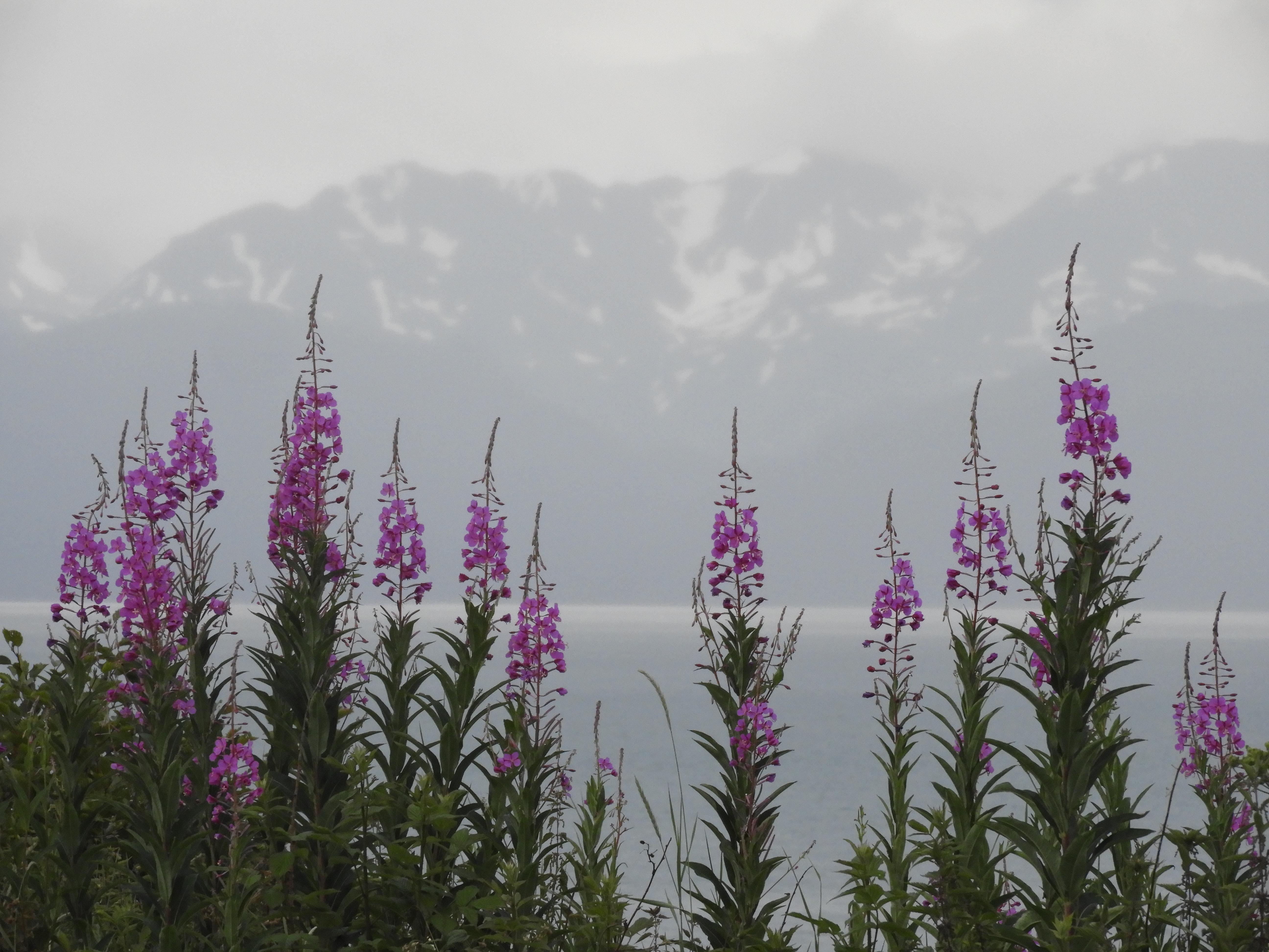 The Wedding Website of Katherine Dolma and Tanner Goins