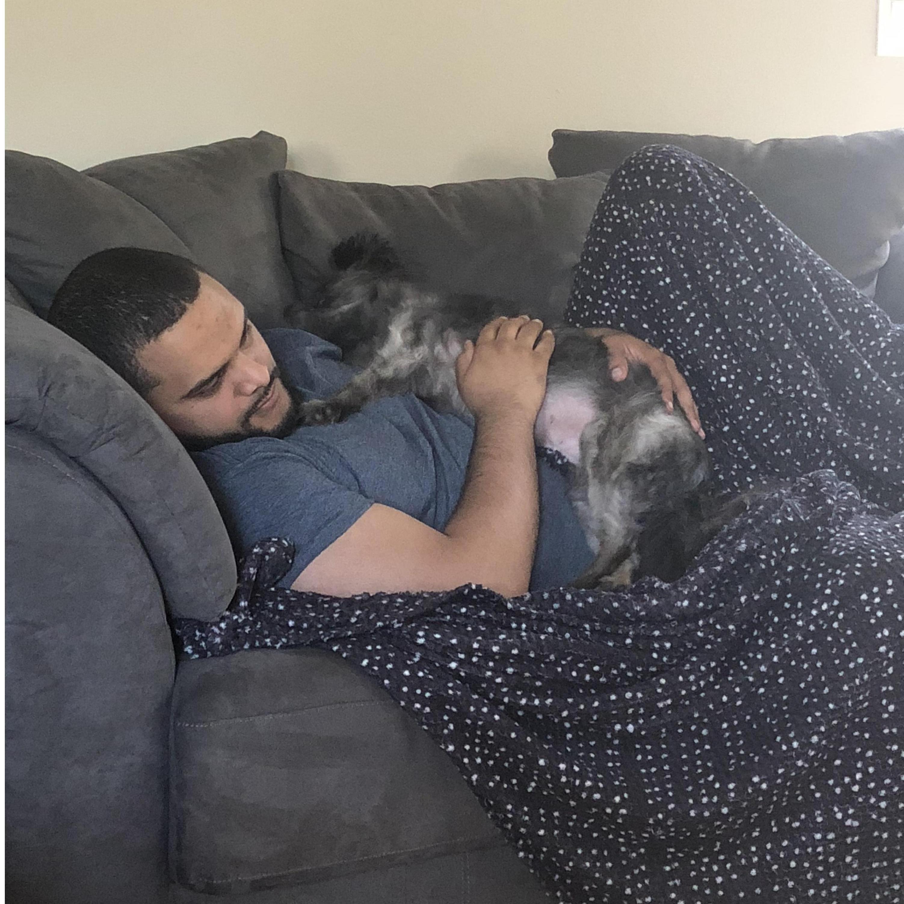 You bet Brittany posted a dog picture!