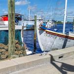 Tarpon Springs Sponge Docks