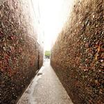 Lick the Bubblegum Wall
