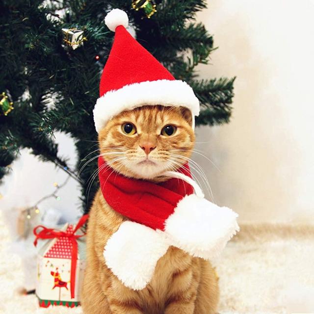 PETLESO Cat Santa Hat with Scarf, Christmas Hats for Cats Pet Christmas Costume Set Puppy Dog