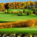 Golfing, Mini Golf, and Disc Golf