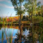 Yampa River Botanic Park