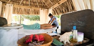 Visit the Spa