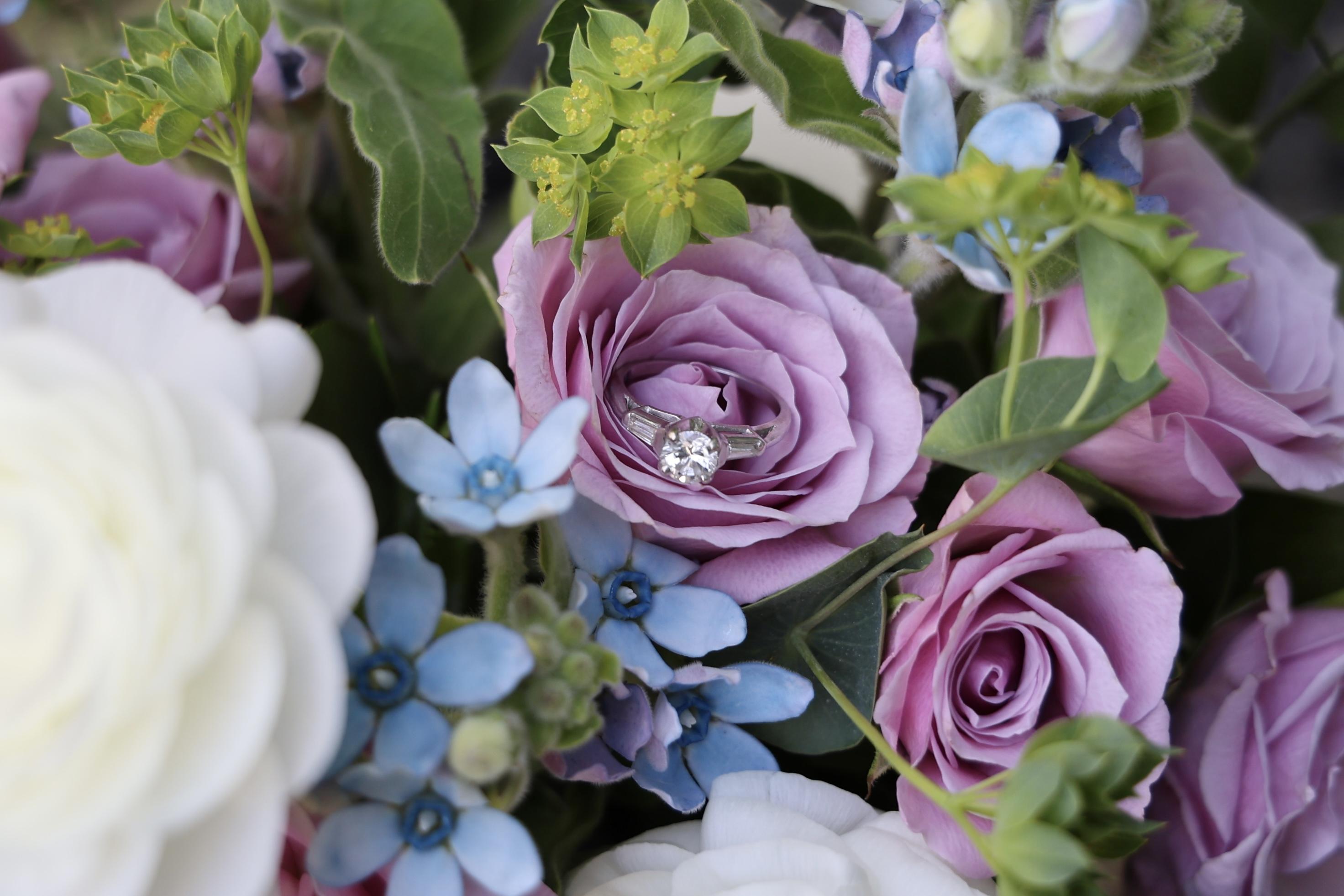 The Wedding Website of Jordan Fox and Carrie Shao