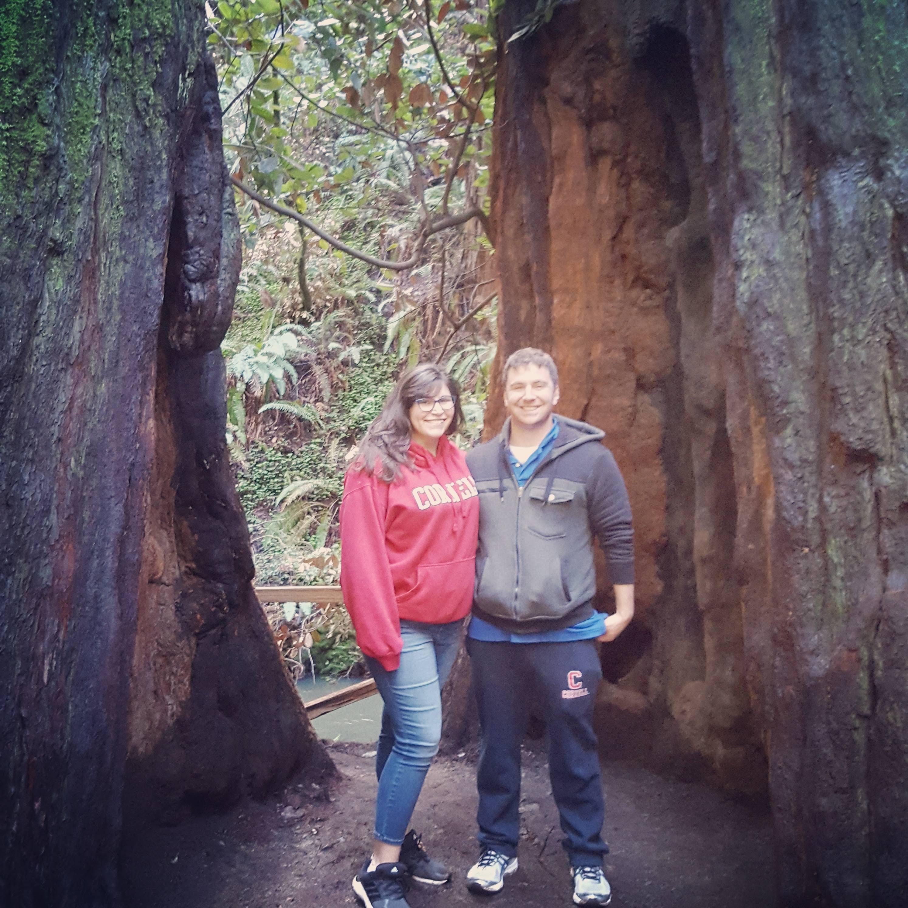 Muir Woods