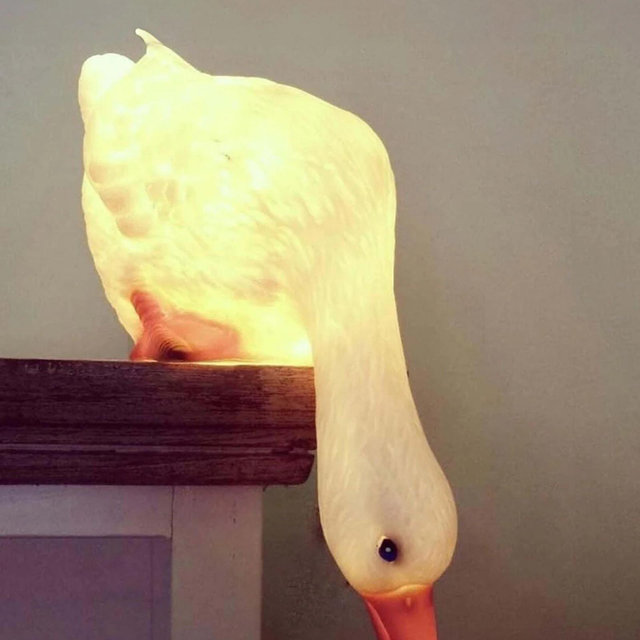 Duck Looking Down Lamp
