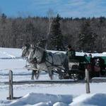 More Winter Activities