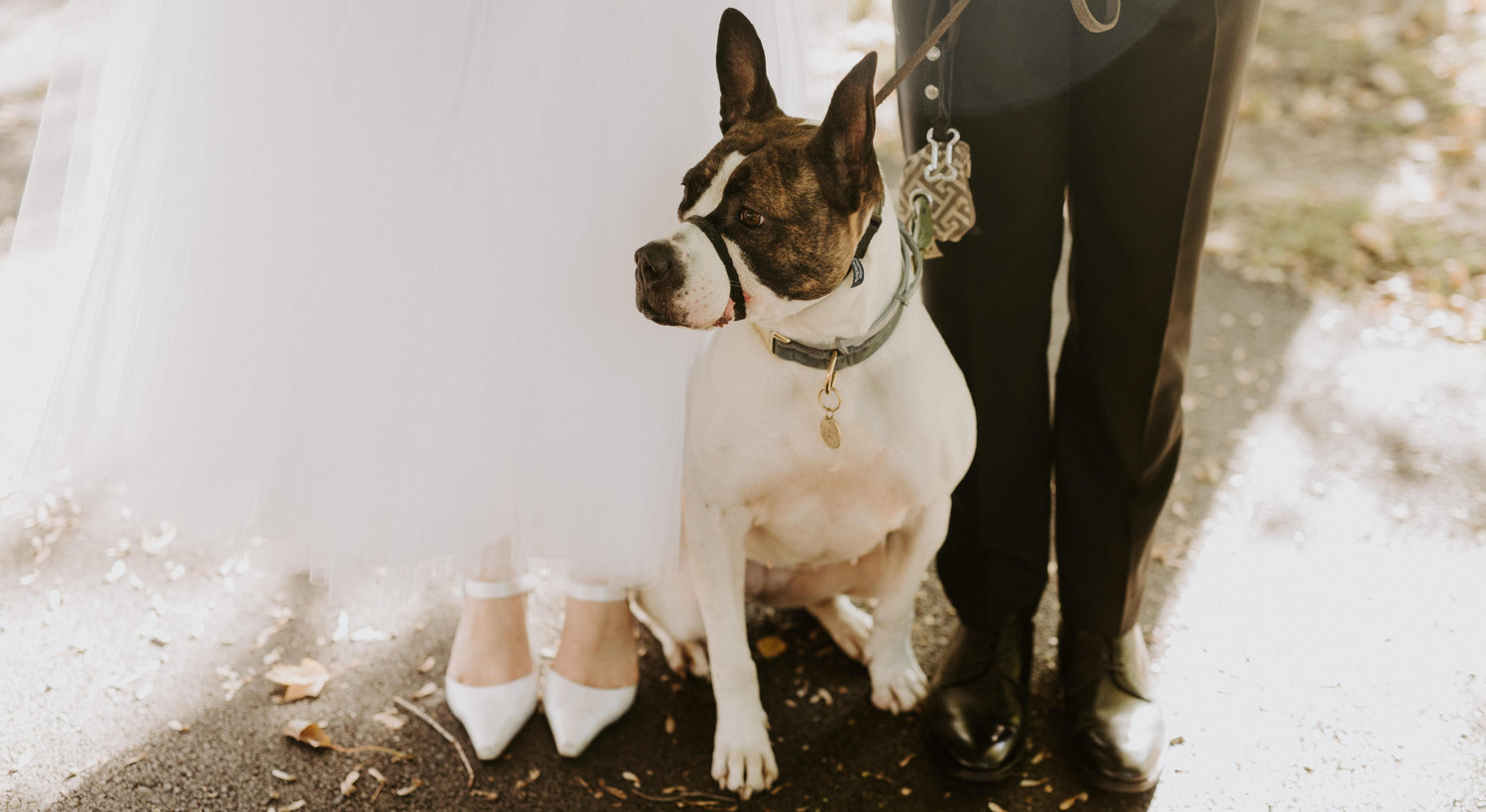 Footer image