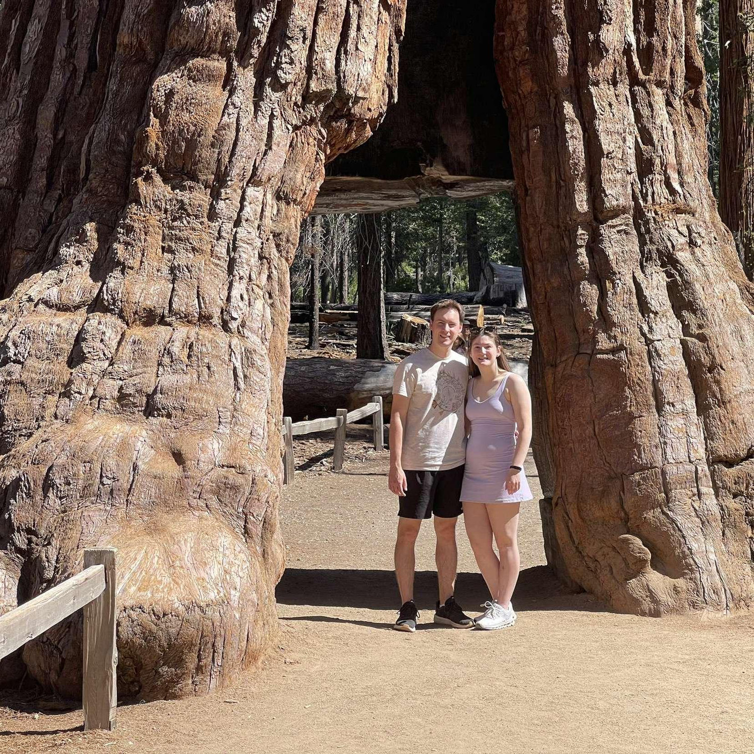 For Jordan's birthday this year, Madeline surprised him with a trip to Yosemite and San Francisco! This picture was taken in the Mariposa Grove section of Yosemite!