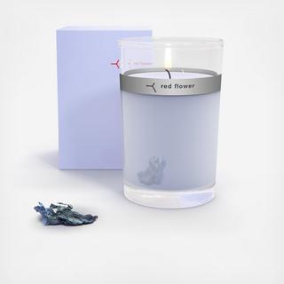 Icelandic Moonflower Petal Topped Candle