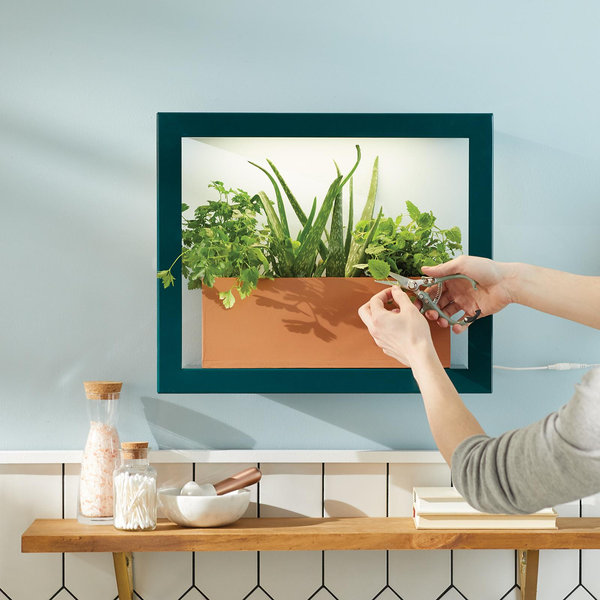 Modern Sprout, Smart Standard Growframe | Zola