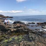 Acadia National Park