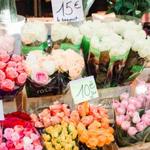 Temecula Farmer’s Market