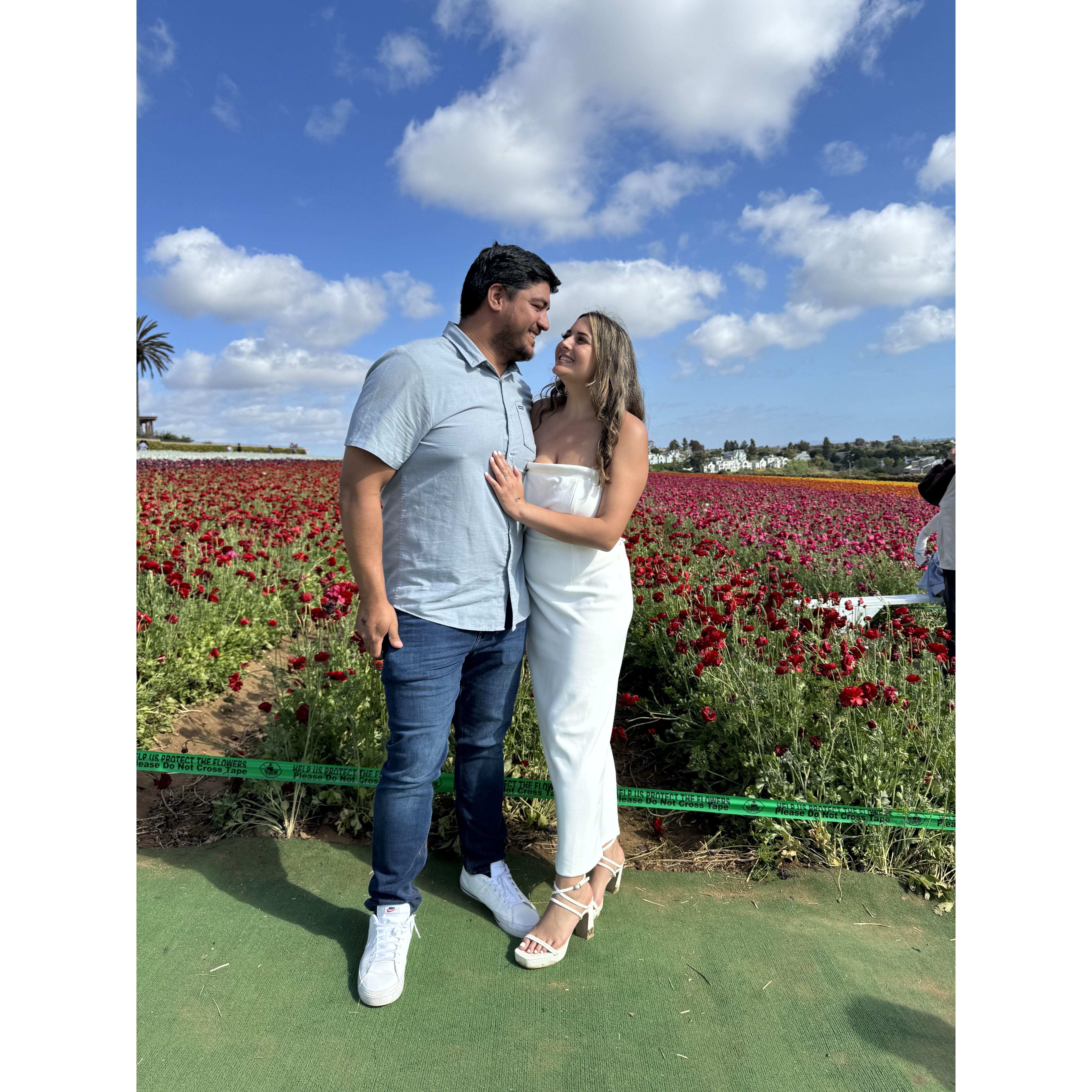 Beautiful weekend trip to see the Flower Fields in Carlsbad.