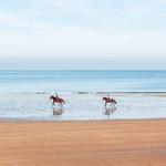 Horse Riding On The Beach