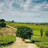 Arnaldo Caprai Winery