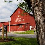 Angry Orchard
