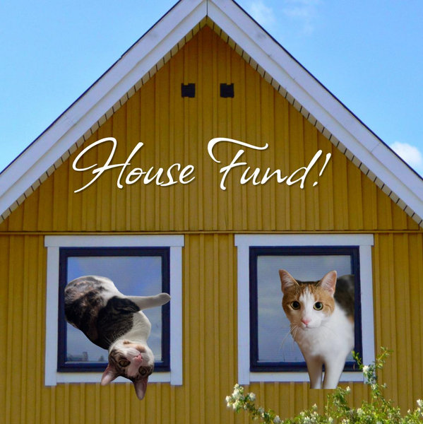 House Fund 🏠