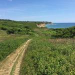 Rodman's Hollow